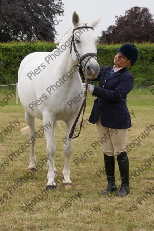 In Hnad Veteran Horse 24 
 NRCS Class 22 In Hand Veteran Horse