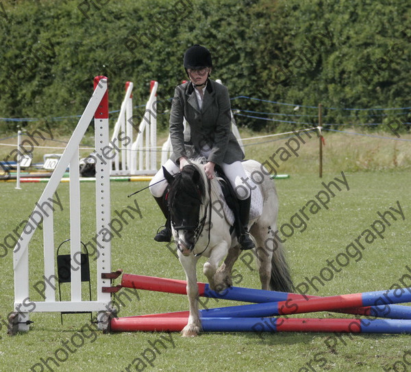 RS 4683 
 Naphill Riding Club Show July 2008