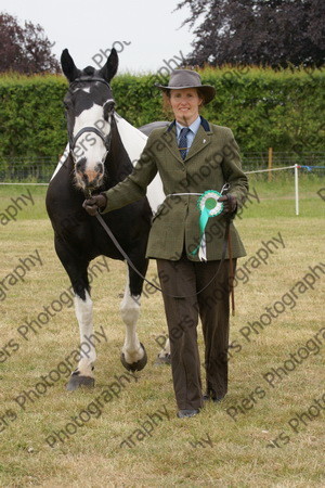 In Hnad Veteran Horse 31 
 NRCS Class 22 In Hand Veteran Horse