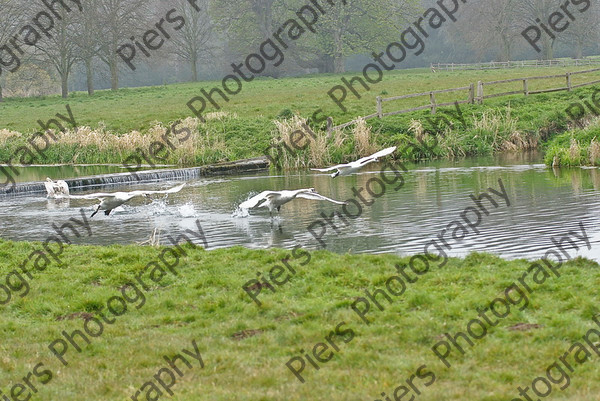 NRC WWE08 27 
 Naphill Riding Club at WWE 
 Keywords: Naphill Riding Club, West Wycombe, water