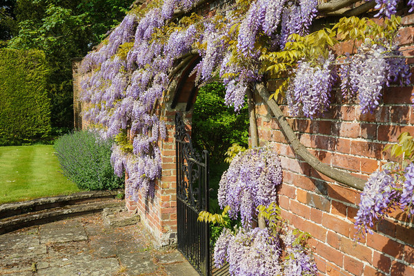 Adwell House 26 
 Adwell House May 2013 
 Keywords: Adwell House, Piers Photos, gardens