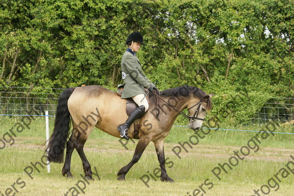 Family Horse 06 
 NRCS Class 20 Family Horse