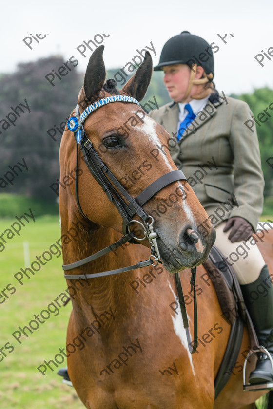 Ring 2 Afternoon 032 
 Naphill Riding Club Open Show 
 Keywords: Naphill Riding Club, Open Show, Equestrian, Piers Photography,
Bucks Wedding Photographer