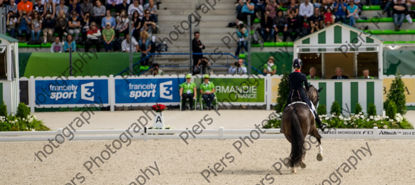 Freestle dressage WEG 034 
 WEG 2014 Freestyle dressage