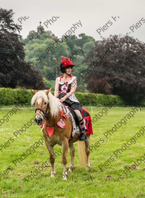 Fancy Dress 022 
 Naphill Riding Club Open Show 
 Keywords: Naphill Riding Club,Open Show, Equestrian, Piers Photography, Bucks Wedding Photographer