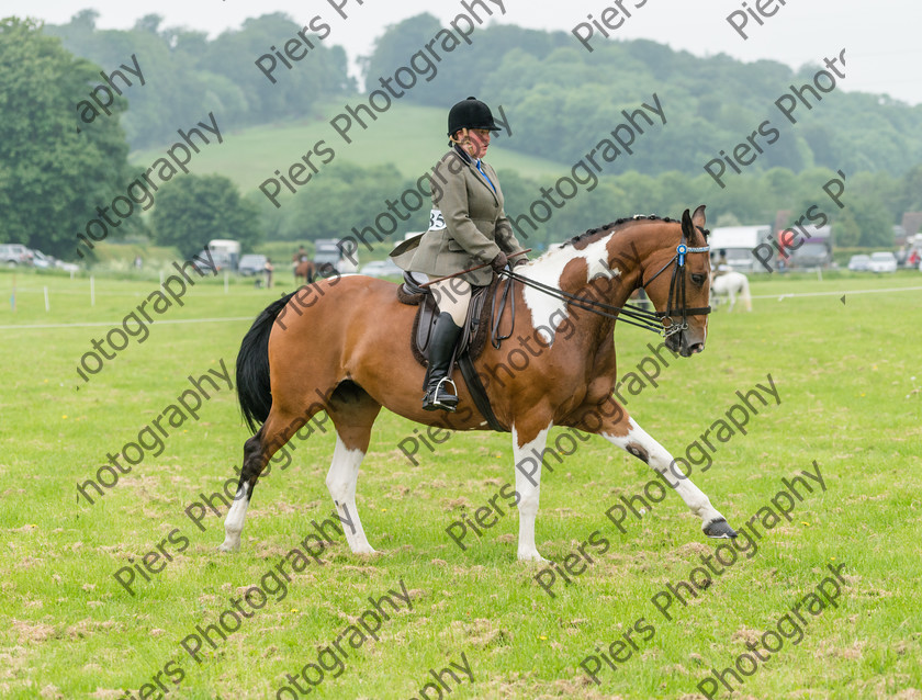 Ring 2 Afternoon 040 
 Naphill Riding Club Open Show 
 Keywords: Naphill Riding Club, Open Show, Equestrian, Piers Photography,
Bucks Wedding Photographer