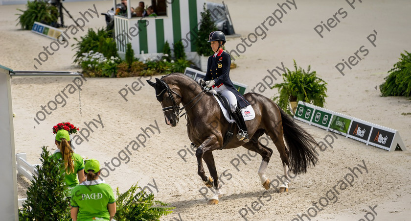 Freestle dressage WEG 025 
 WEG 2014 Freestyle dressage