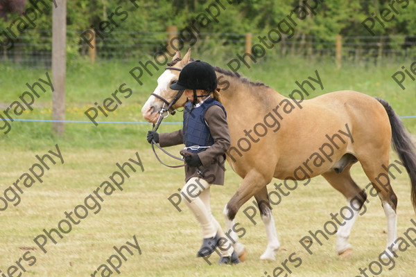 Ridden Veteran Horse 036 
 NRCS Class 23 Ridden Veteran Horse