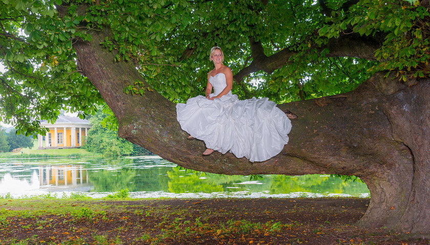 WWE Bridal tree 013 
 West Wycombe Horse shoot 
 Keywords: Buckinghamshire wedding photographer, Horses, Piers Photo, Summer, West Wycombe House