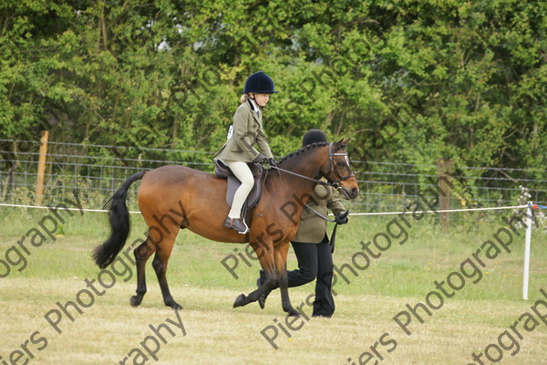 Leading Rein 07 
 NRCS Class 17 Leading Rein