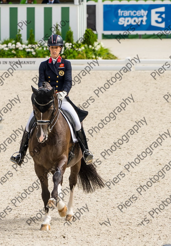 Freestle dressage WEG 028 
 WEG 2014 Freestyle dressage