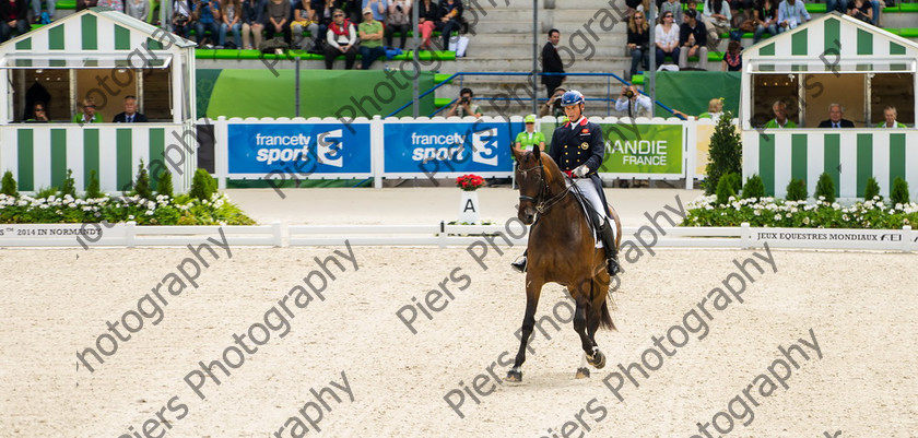 Freestle dressage WEG 013 
 WEG 2014 Freestyle dressage