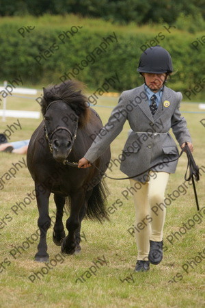 In Hnad Veteran Horse 09 
 NRCS Class 22 In Hand Veteran Horse