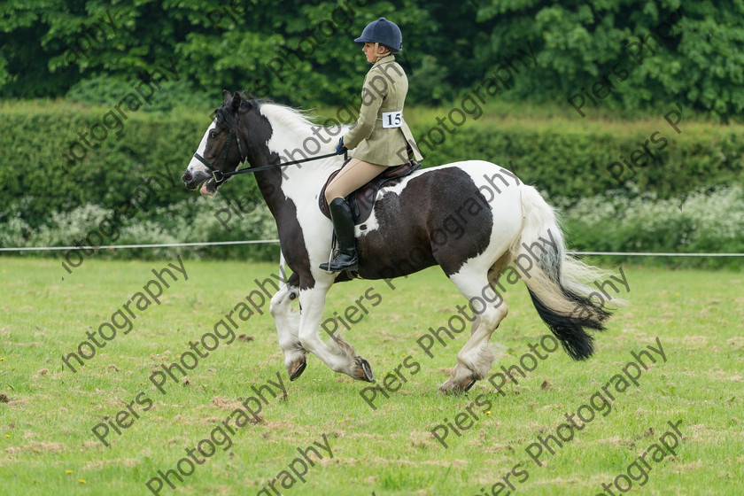 Ring 2 Afternoon 013 
 Naphill Riding Club Open Show 
 Keywords: Naphill Riding Club, Open Show, Equestrian, Piers Photography,
Bucks Wedding Photographer