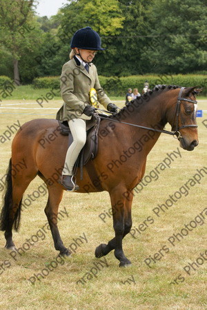 Family Horse 19 
 NRCS Class 20 Family Horse