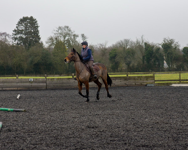 Ollie and Blyth Lesson 20 
 Ollie and Blyth Lesson 
 Keywords: Piers Photo, Moses Plat Yard, Ollie, Blyth, Mary Hilder, Jo Reynolds