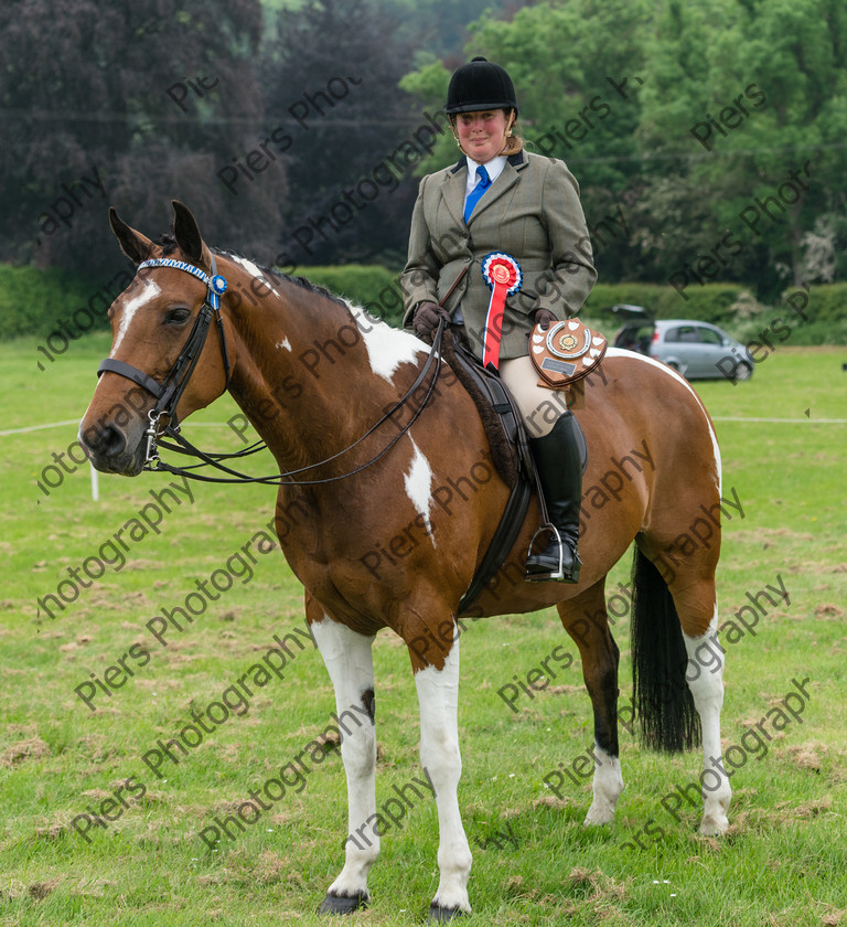 Ring 2 Afternoon 044 
 Naphill Riding Club Open Show 
 Keywords: Naphill Riding Club, Open Show, Equestrian, Piers Photography,
Bucks Wedding Photographer