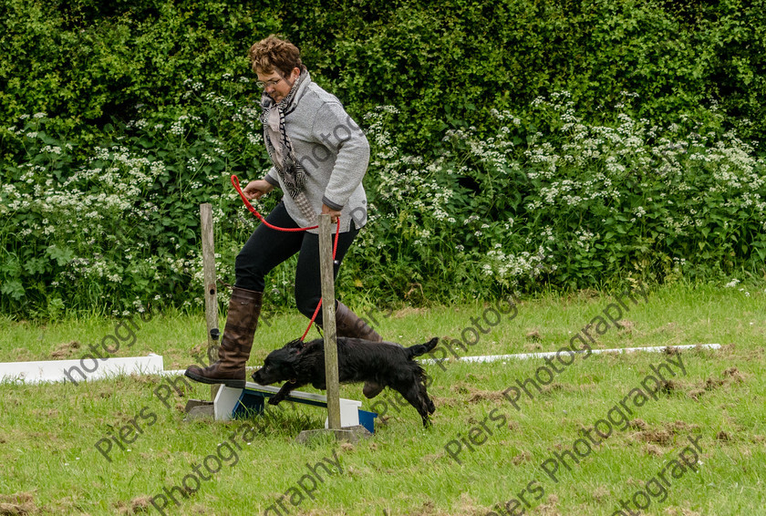 NRC Dog Show 073 
 Naphill Riding Club Open Show 
 Keywords: Naphill Riding Club, Open Show, Equestrian, Piers Photography, Bucks Wedding Photographer