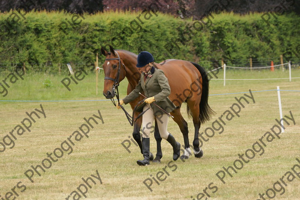 In Hnad Veteran Horse 14 
 NRCS Class 22 In Hand Veteran Horse