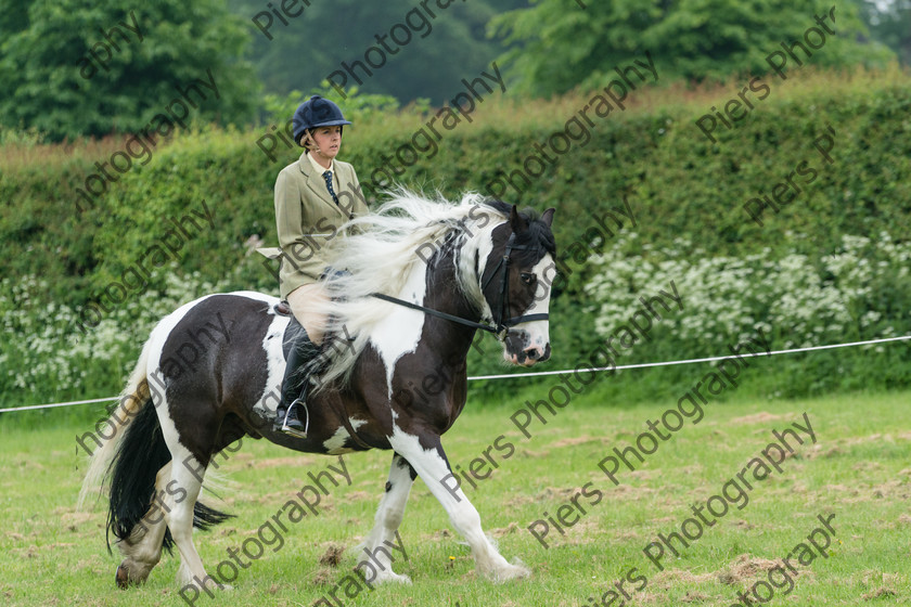 Ring 2 Afternoon 008 
 Naphill Riding Club Open Show 
 Keywords: Naphill Riding Club, Open Show, Equestrian, Piers Photography,
Bucks Wedding Photographer