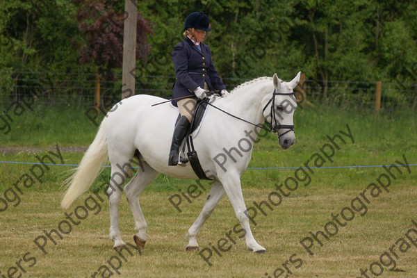 Ridden Veteran Horse 010 
 NRCS Class 23 Ridden Veteran Horse