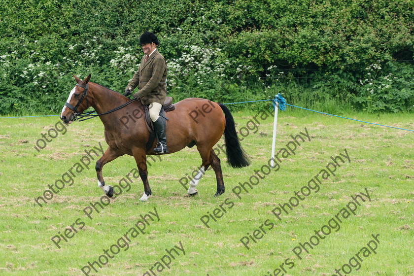 Ring 2 Afternoon 049 
 Naphill Riding Club Open Show 
 Keywords: Naphill Riding Club, Open Show, Equestrian, Piers Photography,
Bucks Wedding Photographer