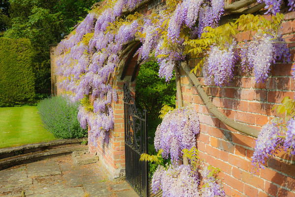 Adwell House 25 
 Adwell House May 2013 
 Keywords: Adwell House, Piers Photos, gardens