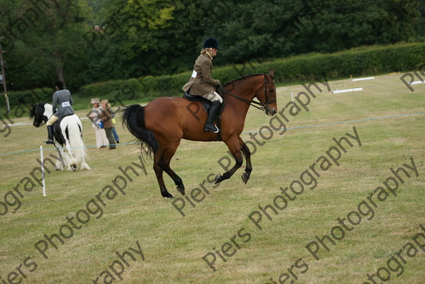 Ridden Hunter 011 
 NRCS Class 14 Ridden Hunter