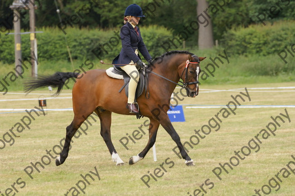 Ridden Veteran Horse 021 
 NRCS Class 23 Ridden Veteran Horse