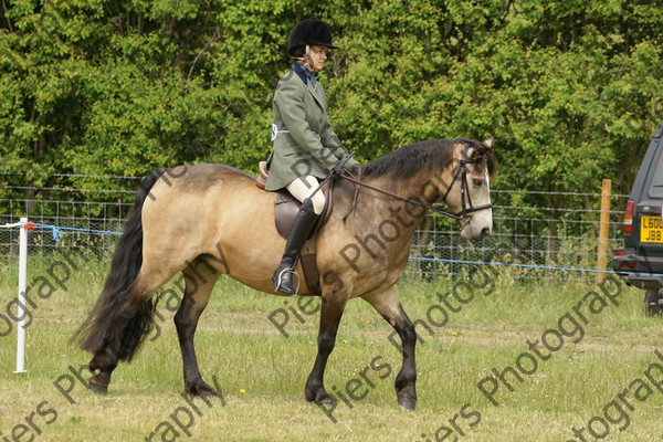 Family Horse 12 
 NRCS Class 20 Family Horse