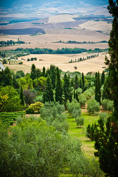 Italian Hols 370 
 Pienza