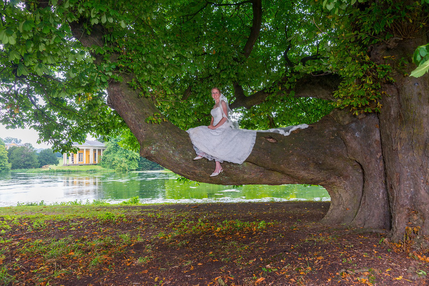 WWE Bridal tree 032 
 West Wycombe Horse shoot 
 Keywords: Buckinghamshire wedding photographer, Horses, Piers Photo, Summer, West Wycombe House