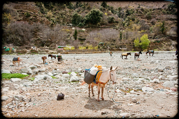 Atlas Mountains Trip 034 
 Keywords: Marrakesh, Morocco, Piers Photography