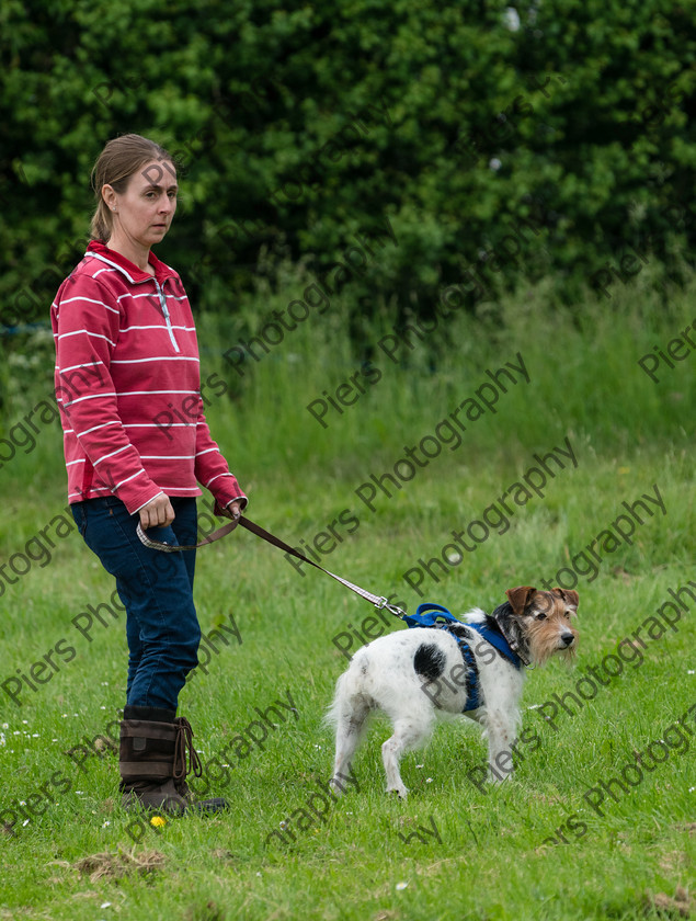 NRC Dog Show 052 
 Naphill Riding Club Open Show 
 Keywords: Naphill Riding Club, Open Show, Equestrian, Piers Photography, Bucks Wedding Photographer