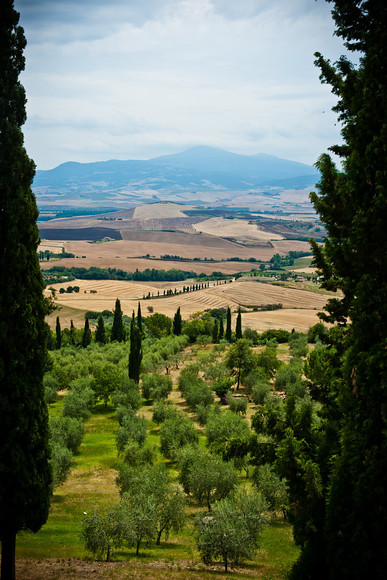 Italian Hols 365 
 Pienza