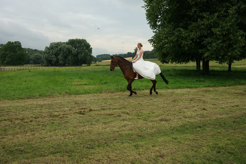 Alice Canter 029 
 West Wycombe Horse shoot 
 Keywords: Buckinghamshire wedding photographer, Horses, Piers Photo, Summer, West Wycombe House