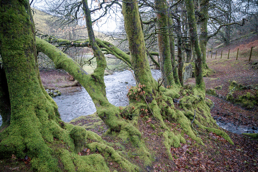 Exmoor 006 
 Exmoor 
 Keywords: Buckinghamshire wedding photographer, Exford, Exmoor, Piers Photography, Robbers Bridge