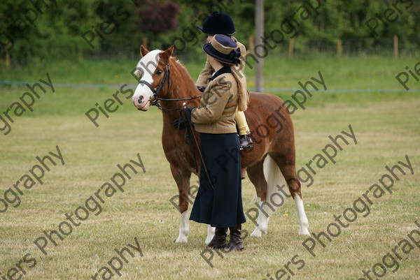 Leading Rein 33 
 NRCS Class 17 Leading Rein