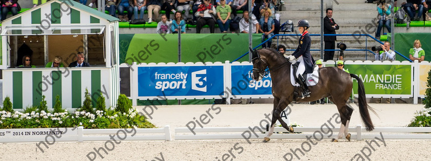 Freestle dressage WEG 035 
 WEG 2014 Freestyle dressage