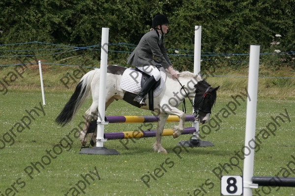 RS 4676 
 Naphill Riding Club Show July 2008