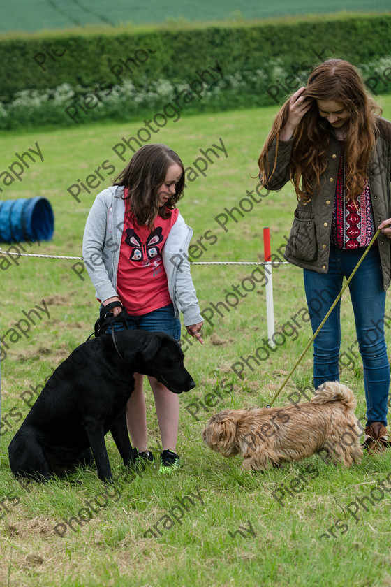 NRC Dog Show 016 
 Naphill Riding Club Open Show 
 Keywords: Naphill Riding Club, Open Show, Equestrian, Piers Photography, Bucks Wedding Photographer