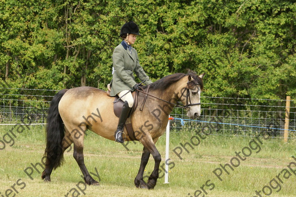 Family Horse 11 
 NRCS Class 20 Family Horse