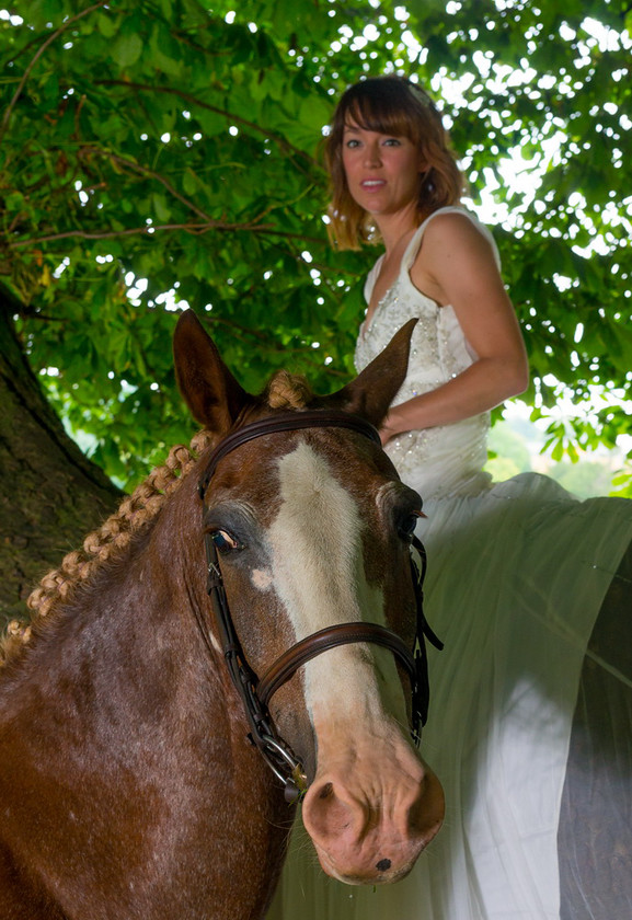 WWE Bridal tree 006 
 West Wycombe Horse shoot 
 Keywords: Buckinghamshire wedding photographer, Horses, Piers Photo, Summer, West Wycombe House