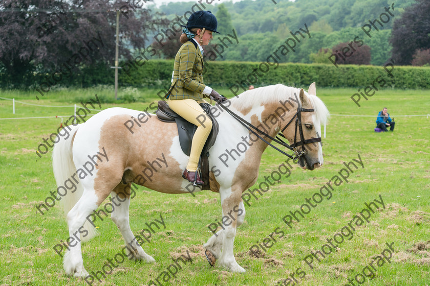 Ring 2 Afternoon 023 
 Naphill Riding Club Open Show 
 Keywords: Naphill Riding Club, Open Show, Equestrian, Piers Photography,
Bucks Wedding Photographer