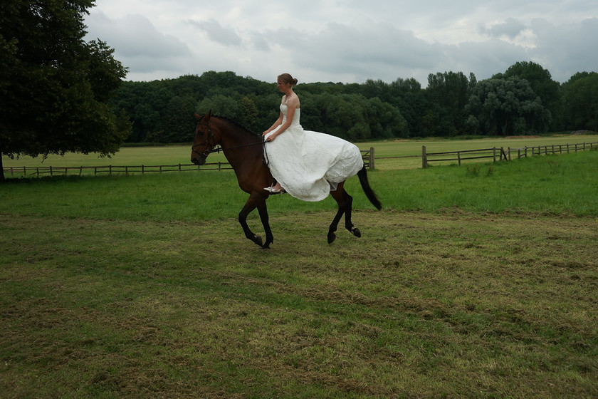 Alice Canter 036 
 West Wycombe Horse shoot 
 Keywords: Buckinghamshire wedding photographer, Horses, Piers Photo, Summer, West Wycombe House