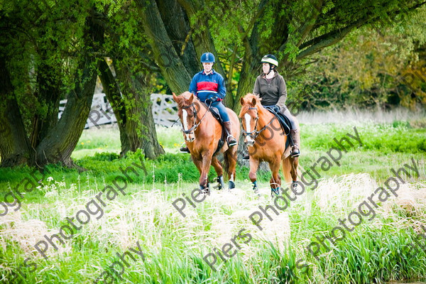 NRCWWE09 033 
 Naphill Riding Club West Wycombe Ride 09 
 Keywords: Naphill Riding Club, West Wycombe Estate