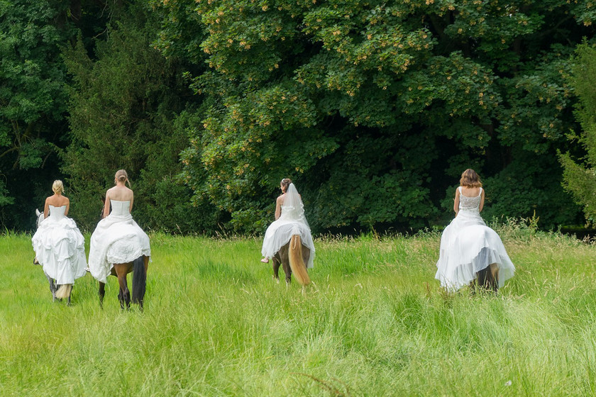 WWE Bridal Horse shoot 035 
 West Wycombe Horse shoot 
 Keywords: Buckinghamshire wedding photographer, Horses, Piers Photo, Summer, West Wycombe House