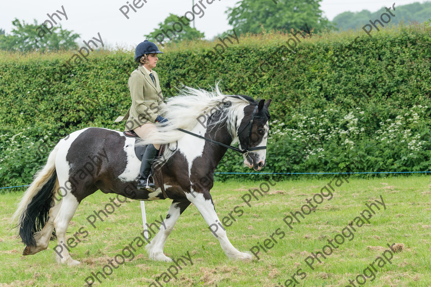 Ring 2 Afternoon 010 
 Naphill Riding Club Open Show 
 Keywords: Naphill Riding Club, Open Show, Equestrian, Piers Photography,
Bucks Wedding Photographer