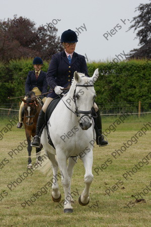 Ridden Veteran Horse 014 
 NRCS Class 23 Ridden Veteran Horse