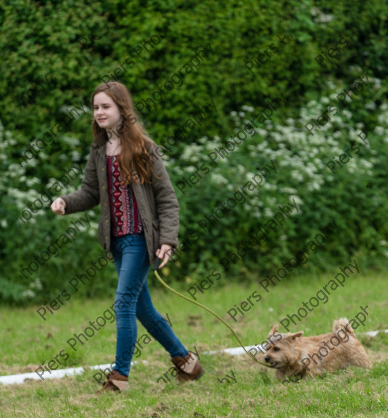 NRC Dog Show 007 
 Naphill Riding Club Open Show 
 Keywords: Naphill Riding Club, Open Show, Equestrian, Piers Photography, Bucks Wedding Photographer